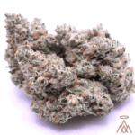 Bubbawhip | 37.92% TC | Bulk Buds - GRAY