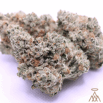 Bubbawhip | 39.07% TC | Bulk Buds - GRAY