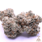 Bubbawhip | 37.90% TC | Bulk Buds - GRAY