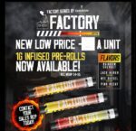 GoldKine Factory Infused 1 Gram Prerolls