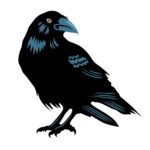 1g Dime Bag from Ravens View Genetics