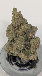 E-85 Big Buds 32.35%