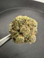 Gastro Pop Big Buds 24.43%