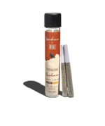 Raven's View Genetics - Kashmir | 2pk - OverageMart